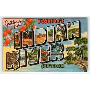 Vintage Curt Teich Linen "Greetings from Indian River Section" Florida Postcard